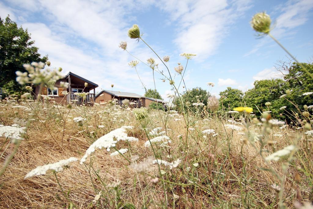 Camping Domaine Vallee Du Tarn Sn Saint-Cirgue Exterior foto